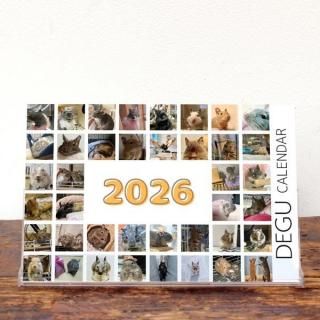  | 奫Cѥۡ2026ǯ1Ϥޤ꡿ɽ椢ˡKG