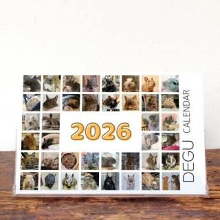  | 奫Cѥۡ2026ǯ1Ϥޤ꡿ɽ椢ˡKG