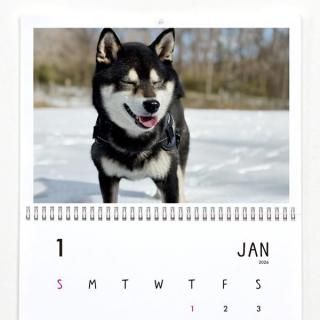 ƦƤߤ | ɳݤ2026ǯ1Ϥޤ꡿ɽ椢ˡA3