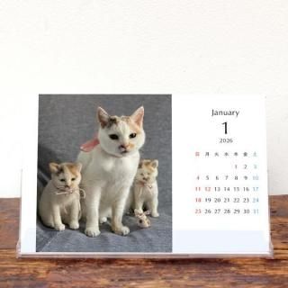 maruruna | 奫2026ǯ1Ϥޤ꡿ɽʤˡKG