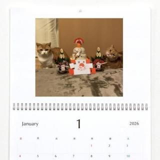 Ϻʤ | ɳݤ2026ǯ1Ϥޤ꡿ɽʤˡA3