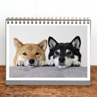 ߤ | 󥰥2026ǯ1Ϥޤ꡿ɽ椢ˡ2L