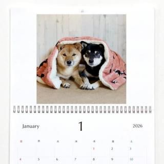 ߤ | ɳݤ2026ǯ1Ϥޤ꡿ɽ椢ˡA3