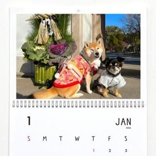 ƸݥN | ɳݤ2026ǯ1Ϥޤ꡿ɽ椢ˡA3