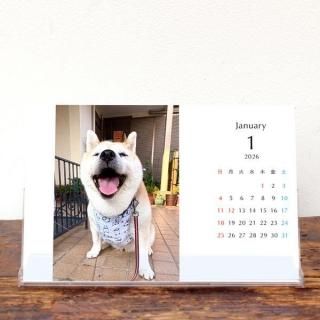 ʤ | 奫2026ǯ1Ϥޤ꡿ɽʤˡKG