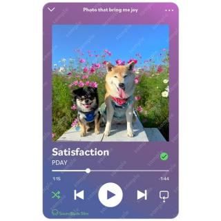 ƸݥN | Ʃȥ쥫 EѥˡƩȥ쥫