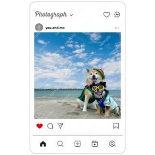 ƸݥN | Ʃȥ쥫 FѥˡƩȥ쥫