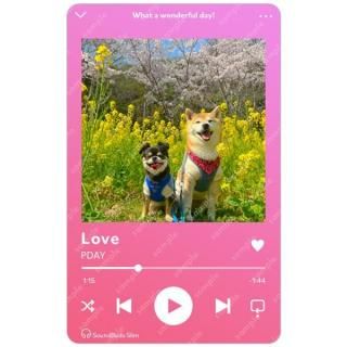 ƸݥN | Ʃȥ쥫 GѥˡƩȥ쥫