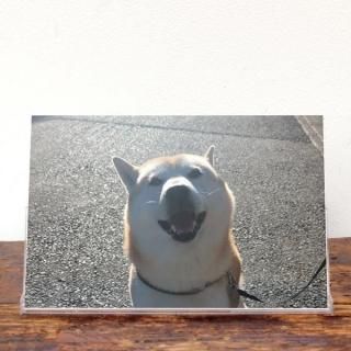 Ƹդ餷 | 奫2026ǯ1Ϥޤ꡿ɽ椢ˡKG