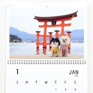 comatema | ɳݤ2026ǯ1Ϥޤ꡿ɽ椢ˡA3