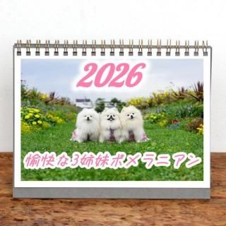 3ݥ˥ͤ | 󥰥2026ǯ1Ϥޤ꡿ɽ椢ˡ2L