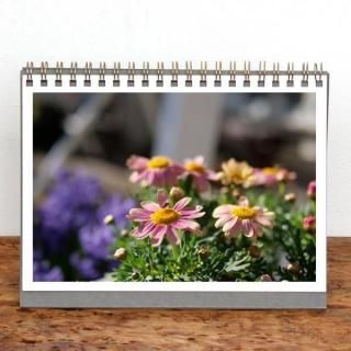  | 󥰥ڴտʪۡ2026ǯ1Ϥޤ꡿ɽ椢ˡ2L