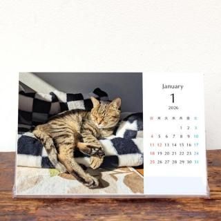 Moto | 奫ڥۡ2026ǯ1Ϥޤ꡿ɽʤˡKG