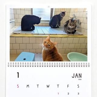 Moto | ɳݤ4ǭۡ2026ǯ1Ϥޤ꡿ɽʤˡA3