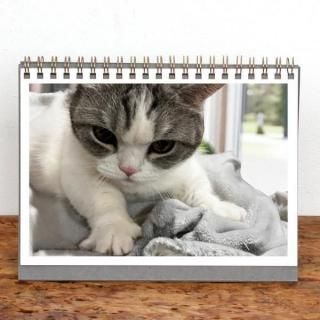 @haru.200308 | 󥰥2026ǯ1Ϥޤ꡿ɽ椢ˡ2L