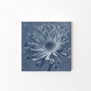 Megrezʥᥰ쥺 | 2Lǥڥ2L