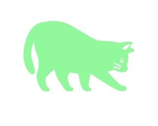 shy_015_CAT