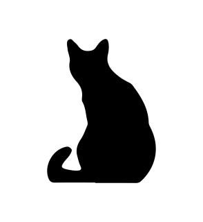 shk_089_CAT_顼åƥ󥰥