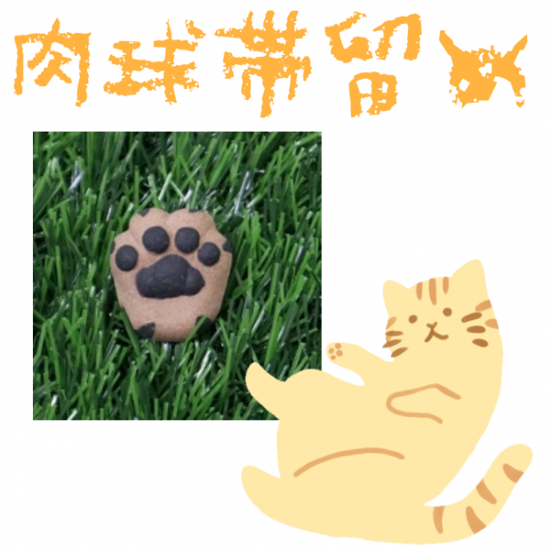 αᡡǭ塡ȥͥƫھơǭ