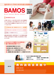 BAMOS1000 饷B5200