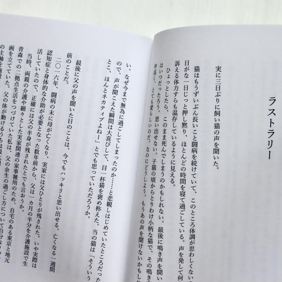☆坂本直行☆「 しらねあおい（庭の桜満開の日に）」ペン画 未使用！ 坂本千明 『ねこのねえ』サイン本 | aoi door アオイドア