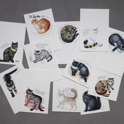 <img class='new_mark_img1' src='https://img.shop-pro.jp/img/new/icons14.gif' style='border:none;display:inline;margin:0px;padding:0px;width:auto;' />е׺ ǭ12 POSTCARD vol.213祻å
