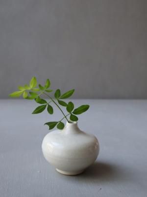 <img class='new_mark_img1' src='https://img.shop-pro.jp/img/new/icons14.gif' style='border:none;display:inline;margin:0px;padding:0px;width:auto;' />» ޤִʥ١