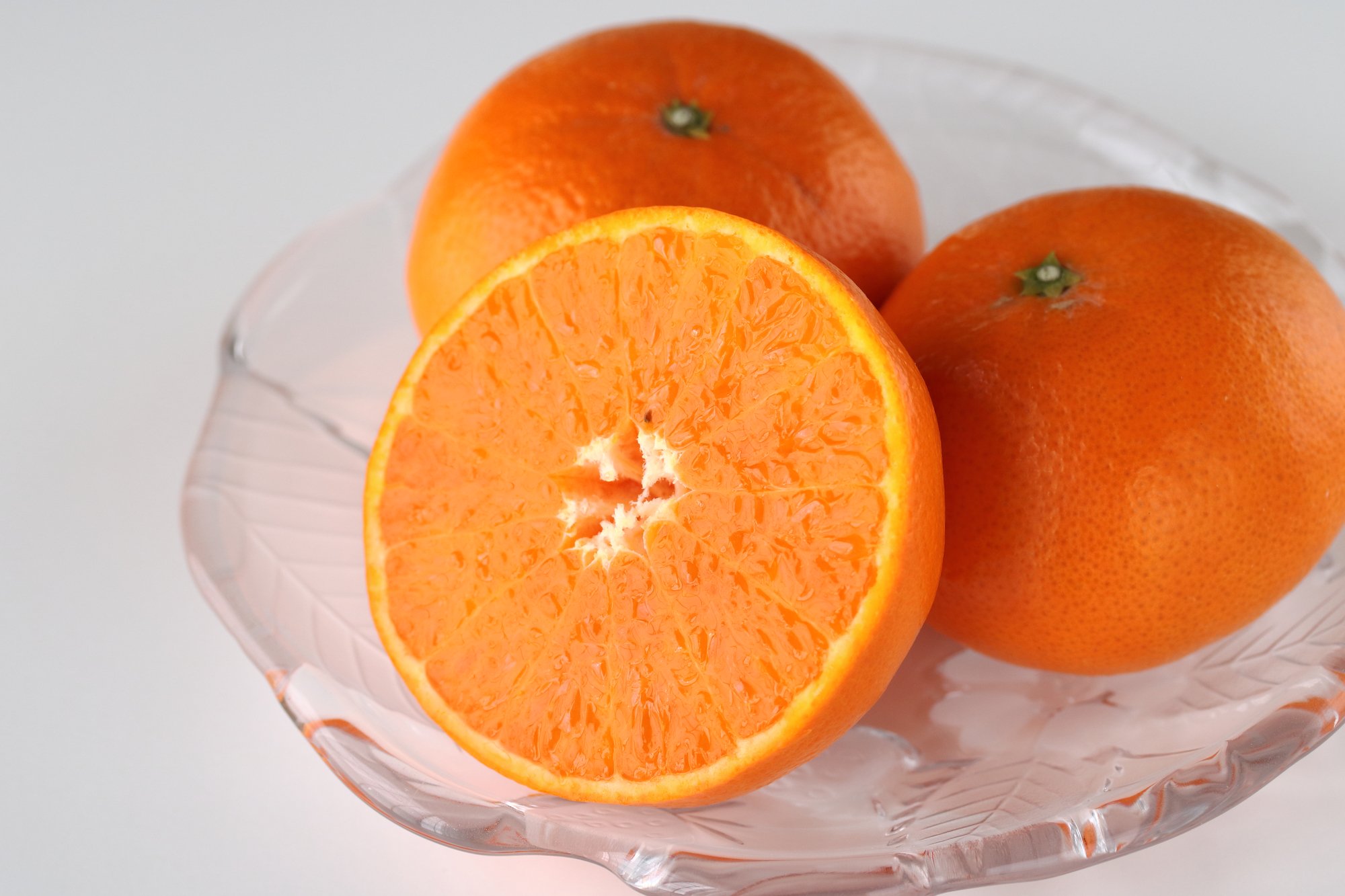 柑橘 はまさき 画像