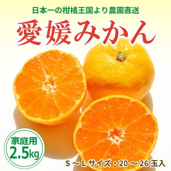 愛媛県より直送! 愛媛みかん 家庭用(約2.5kg) 愛媛県より直送! 愛媛みかん 家庭用(約2.5kg)
