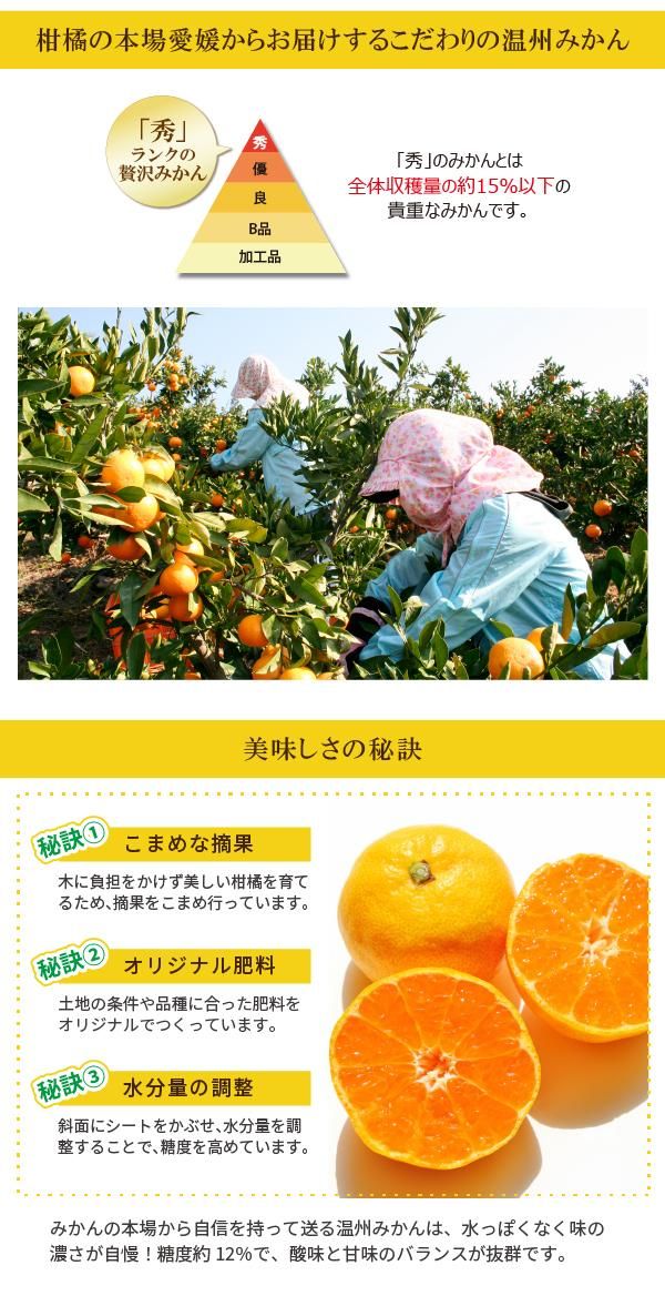 ߤѤ