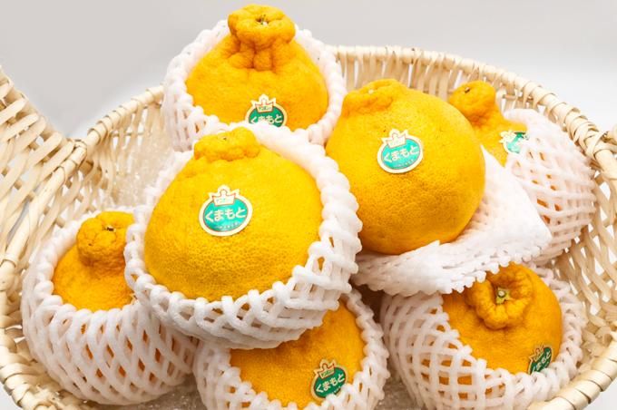 行列のできるレビュー商品、集めました。高評価アイテム オーダーカゴ デコポン様 速 小物入れ