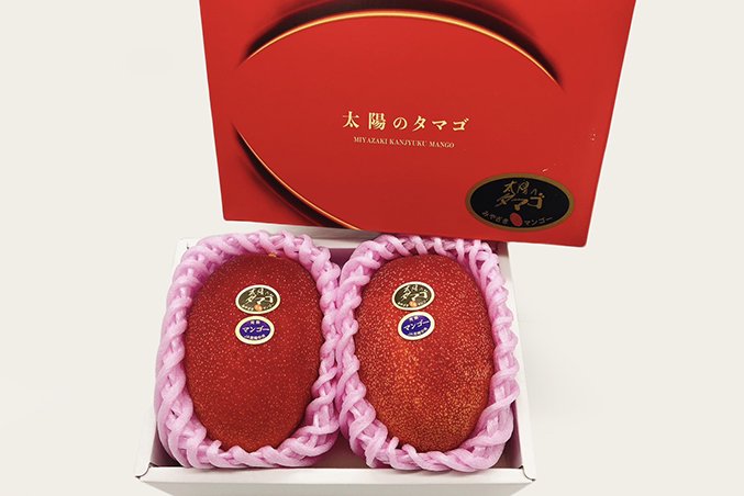 2個入り×2箱-　宮崎県産マンゴー太陽のタマゴ　4L