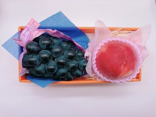 長野県産ブドウ　ナガノパープル（１房）&山梨県産桃　かのいわぴ〜一番（１個）セット