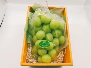 まるごと食べれて種が無い！！大粒ぶどう！！
岡山県産　瀬戸ジャイアンツ(1房）