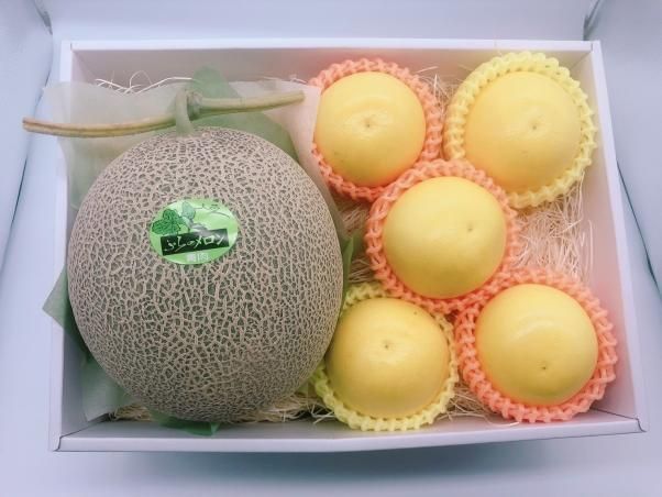北海道産富良野メロン【キスミー】(青肉 1個)&ジャクソンフルーツ(5ケ