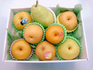 秋の味覚を満喫！秋を感じる甘さたっぷりの梨食べ比べセット(おすすめ7種類を選んでお届けします)