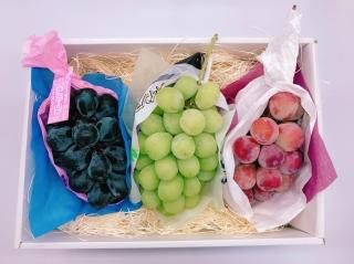秋の味覚を独り占め！！ぶどう三兄弟セット(シャインマスカット、ナガノパープル、サニールージュ)