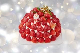 厳選いちごのクリスマスズコット