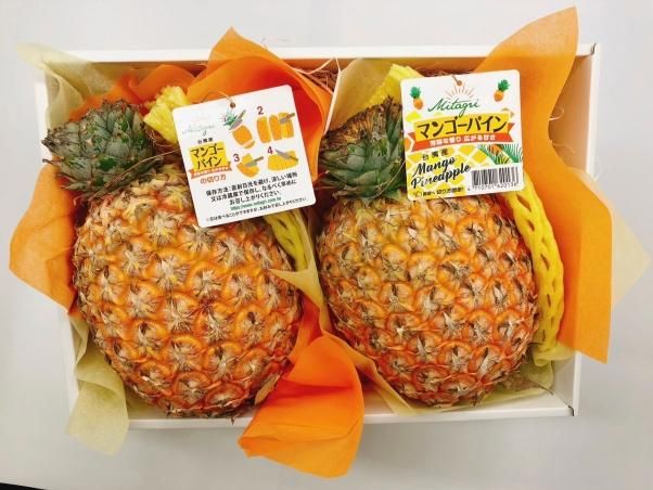 セノッピー ブドウ味 90g ( 3g×30粒 ) LEFT-U 子ども 成長
