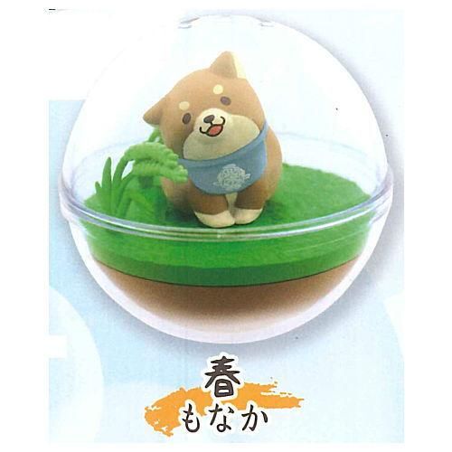忠犬もちしば カプリウムコレクション2 1 春 もなか ネコポス不可 Sale0307 ガチャガチャ 食玩 通販 トイサンタ本店 フィギュア カプセルトイ 忠犬もちしば カプリウムコレクション2 1 春 もなか ネコポス不可 Sale0307 ガチャガチャ 食玩 通販 トイサンタ本店 フィギュア カプセルトイ
