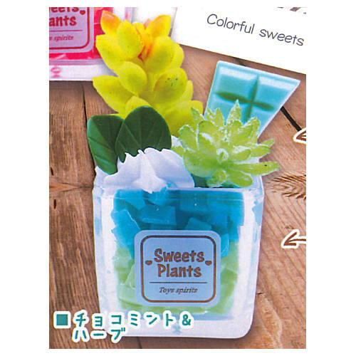 ざ カラフル スイーツプチプラント2 マスコット 5 チョコミント ハーブ ネコポス不可 C Sale0819 ガチャガチャ 食玩 通販 トイサンタ本店 フィギュア カプセルトイ ざ カラフル スイーツプチプラント2 マスコット 5 チョコミント ハーブ ネコポス不可 C Sale0819 ガチャガチャ 食玩 通販 トイサンタ本店 フィギュア カプセルトイ