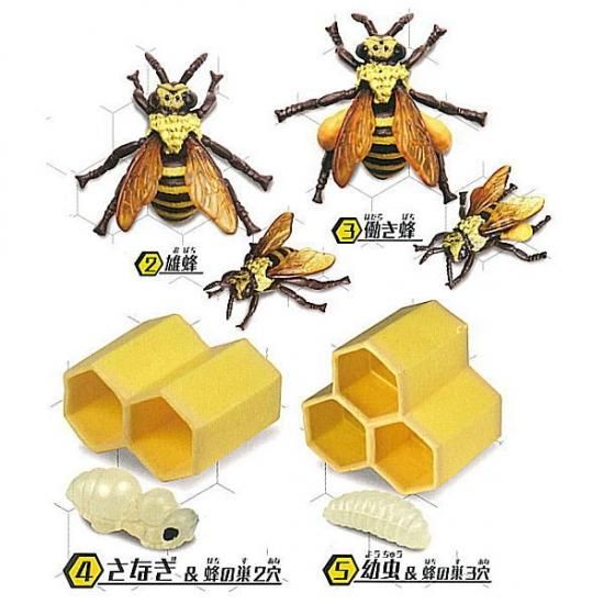 ミツバチ アソート4種セット 2 雄蜂 3 働き蜂 4 さなぎ 蜂の巣2穴 5 幼虫 蜂の巣3穴 ネコポス不可 C ガチャガチャ 食玩 通販 トイサンタ本店 フィギュア カプセルトイ