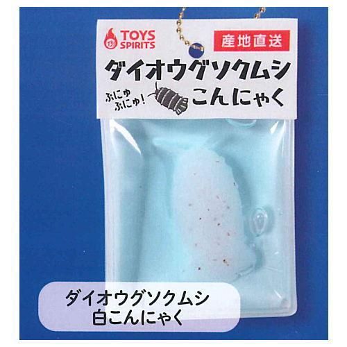 きもかわ ダブルでぷにゅぷにゅ アニマるこんにゃくマスコット 深海魚編 4 ダイオウグソクムシ白こんにゃく ネコポス配送対応 C Sale0907 ガチャガチャ 食玩 通販 トイサンタ本店 フィギュア カプセルトイ きもかわ ダブルでぷにゅぷにゅ アニマるこんにゃくマスコット 深海魚編 4 ダイオウグソクムシ白こんにゃく ネコポス配送対応 C Sale0907 ガチャガチャ 食玩 通販 トイサンタ本店 フィギュア カプセルトイ