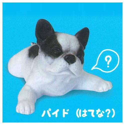 むにゃむにゃ おおきなフレンチブルドッグ 6 パイド はてな ネコポス配送対応 C 食玩 ガチャガチャ 専門店 トイサンタ むにゃむにゃ おおきなフレンチブルドッグ 6 パイド はてな ネコポス配送対応 C 食玩 ガチャガチャ 専門店 トイサンタ