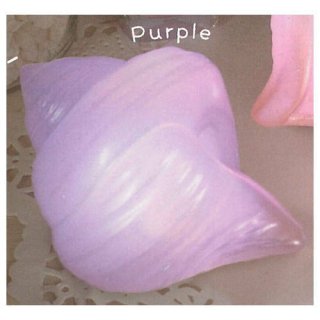 ̥ѡ [1.Purple(ѡץ)] ͥݥԲ ۡC