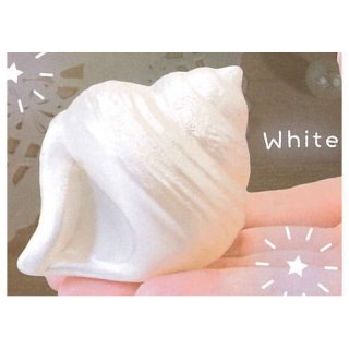 ̥ѡ [6.White(ۥ磻)] ͥݥԲ ۡC