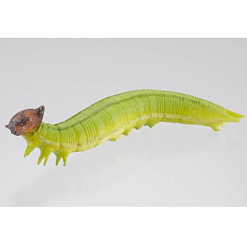 イモムシガチャ 昆虫アクリルキーホルダー