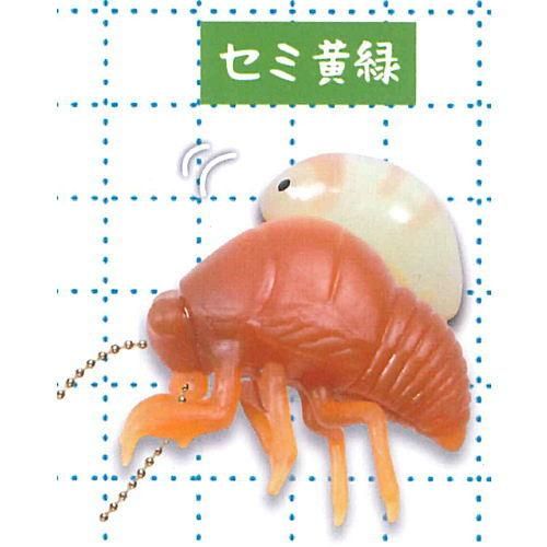 脱皮シリーズ セミの抜け殻 ぷにゅぷにゅ マスコット 2 セミ 黄緑 ネコポス配送対応 C ガチャガチャ カプセルトイ 食玩の通販 トイサンタ本店