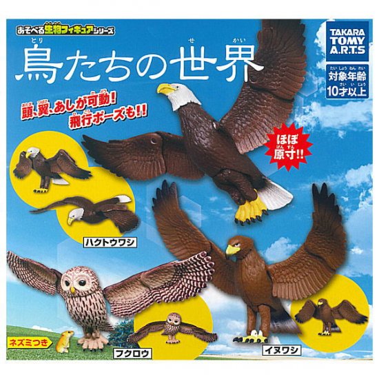 全部揃ってます!!】鳥たちの世界 [全3種セット(フルコンプ)]【ネコポス