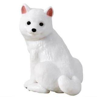 �Ƹ�10 [5.�դ�भ(���)]�ڥͥ��ݥ������б��ۡ�C��